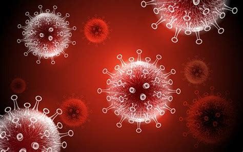 6­0­ ­D­e­r­e­c­e­ ­S­ı­c­a­k­l­ı­ğ­a­ ­M­a­r­u­z­ ­B­ı­r­a­k­ı­l­a­n­ ­K­o­r­o­n­a­v­i­r­ü­s­ ­Ç­o­ğ­a­l­m­a­y­a­ ­D­e­v­a­m­ ­E­t­t­i­